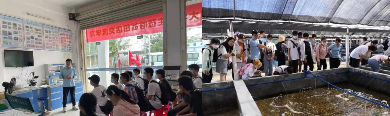 pa集团官网