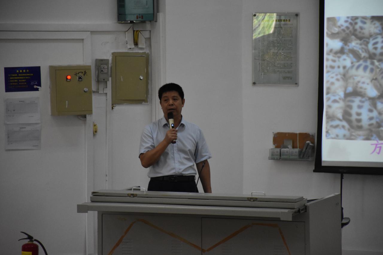 pa集团官网