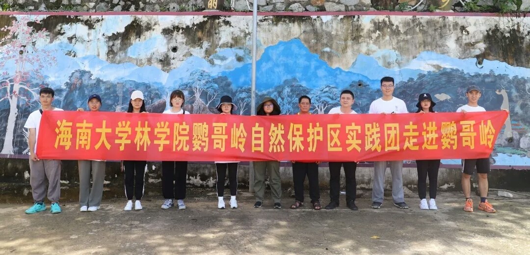 pa集团官网