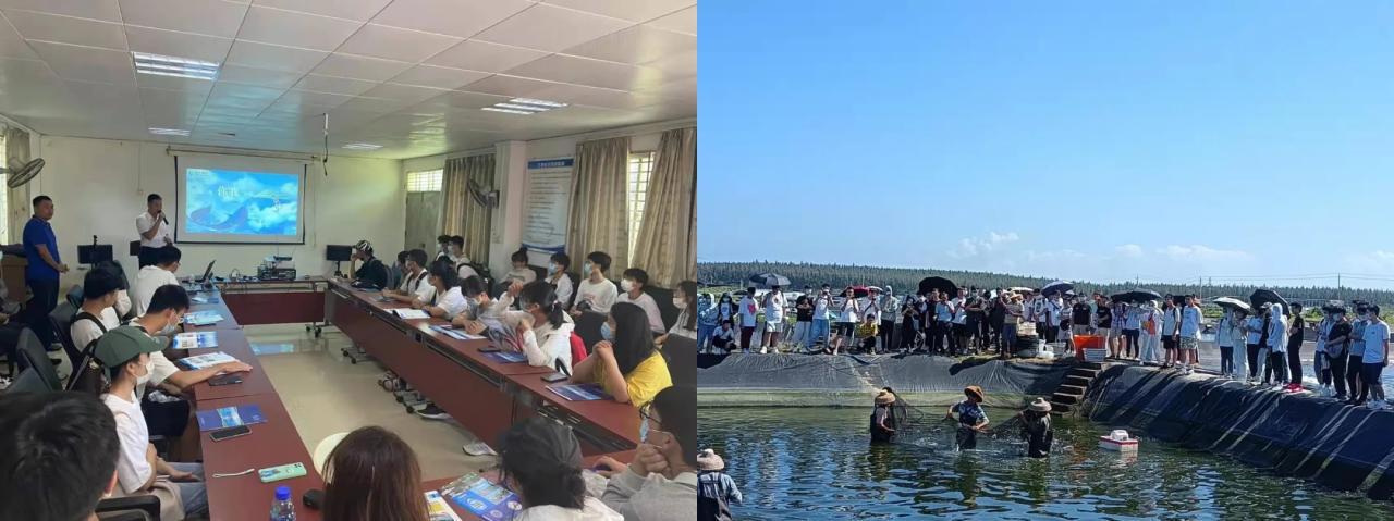 pa集团官网