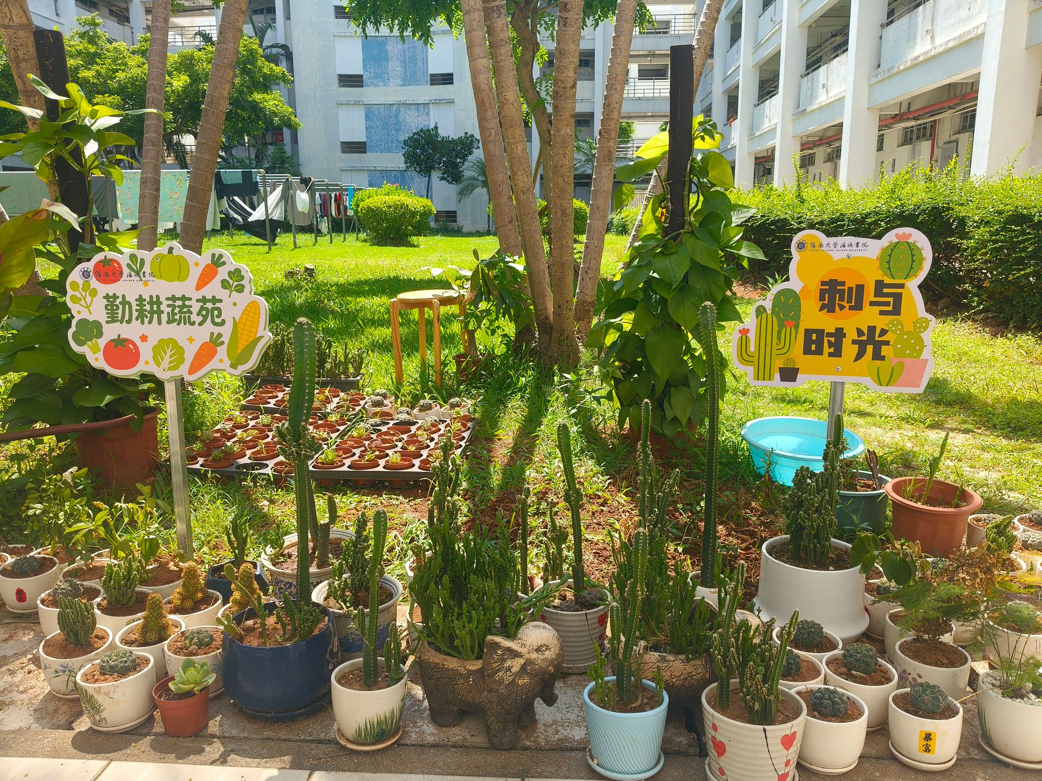 pa集团官网
