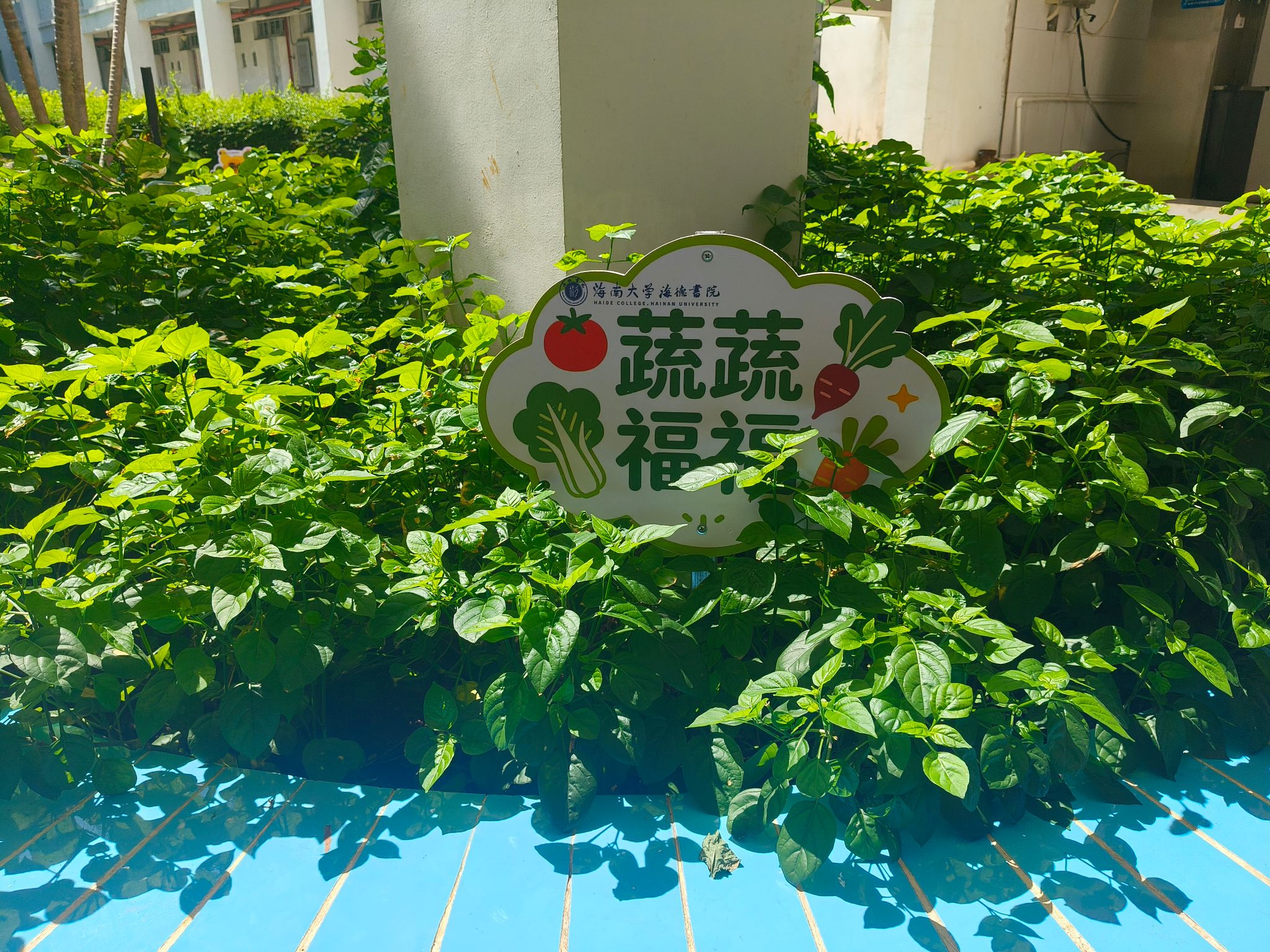 pa集团官网