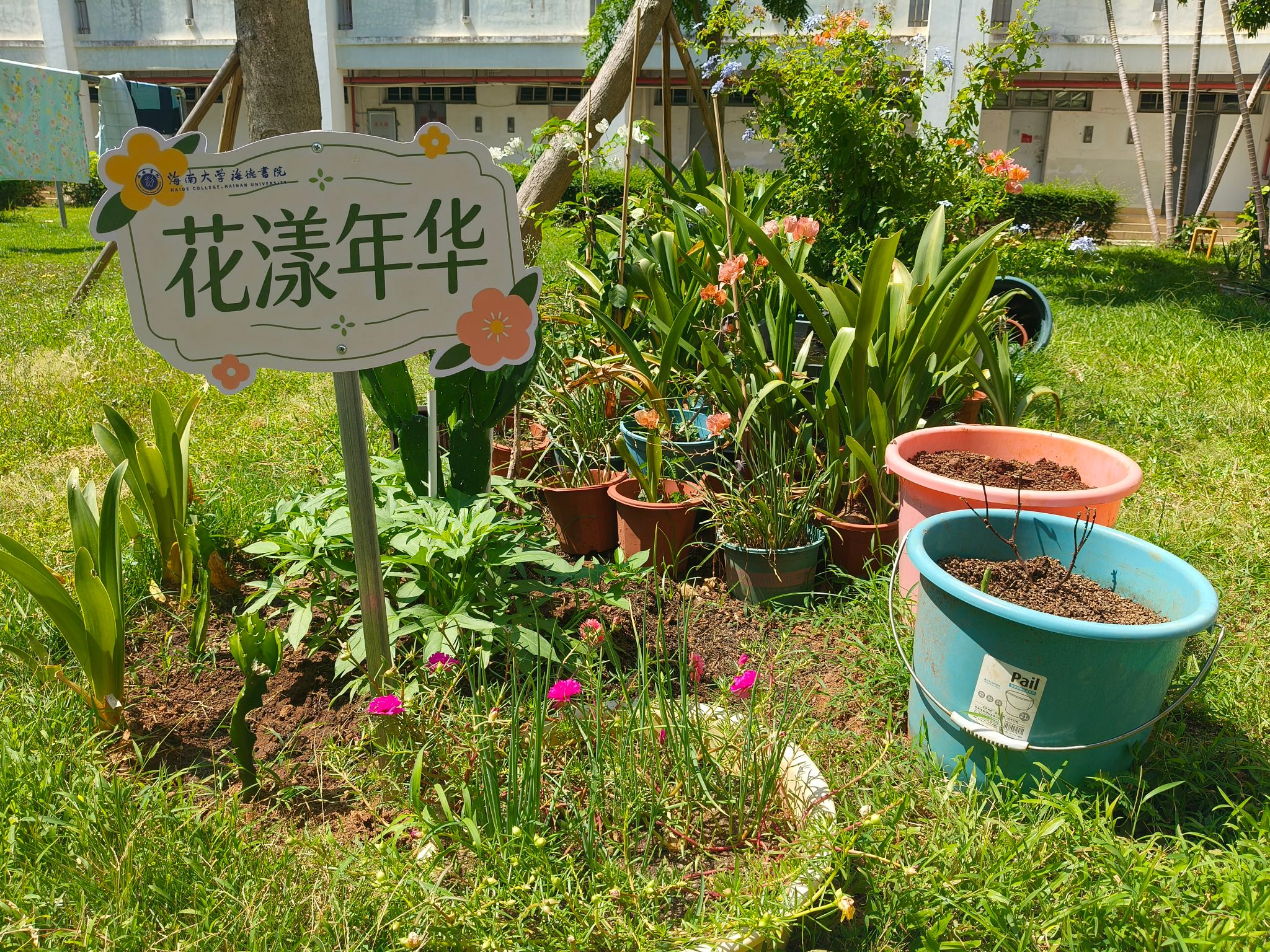 pa集团官网