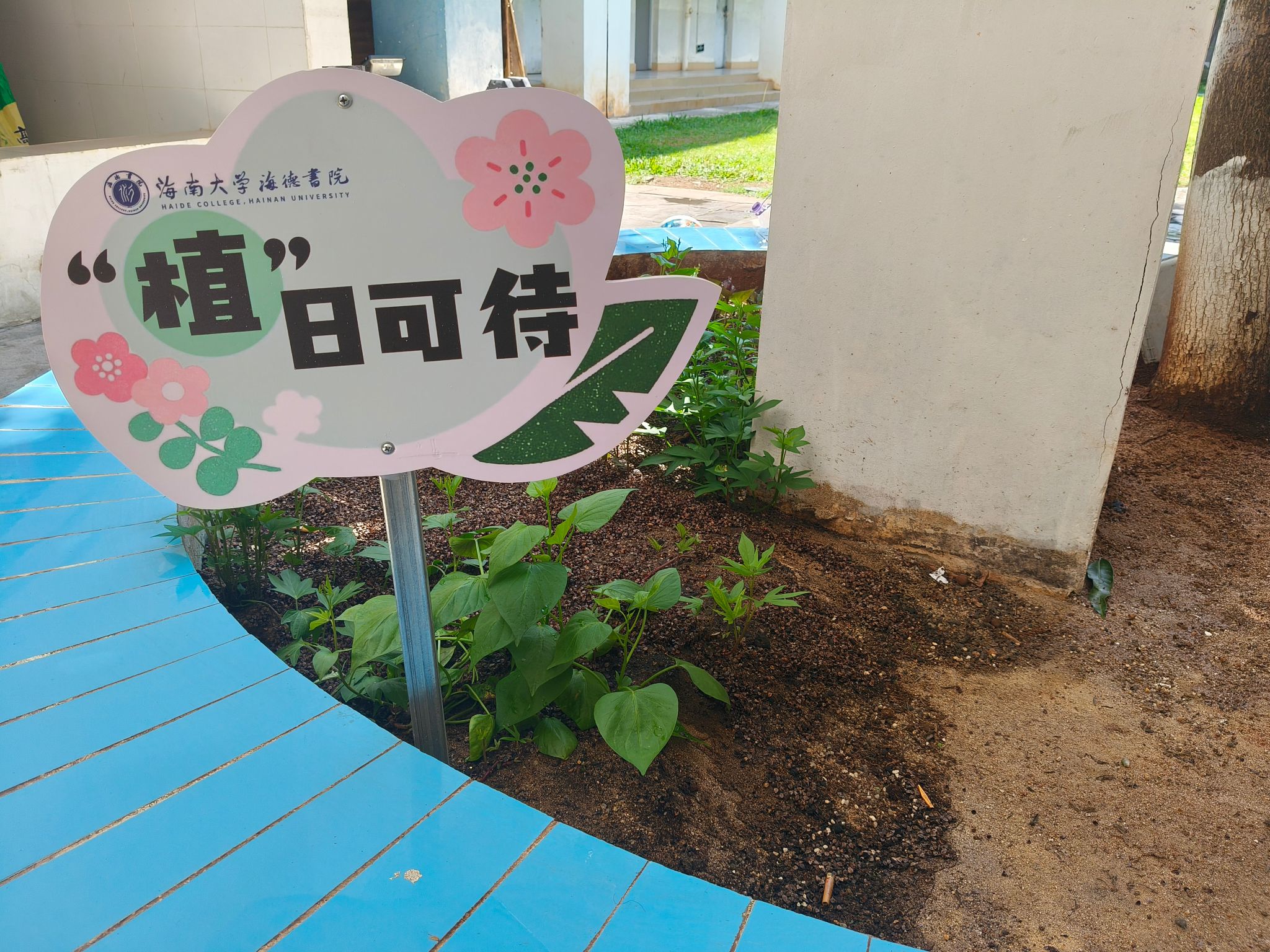pa集团官网