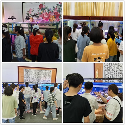 pa集团官网